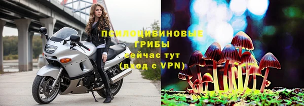 герыч Алзамай