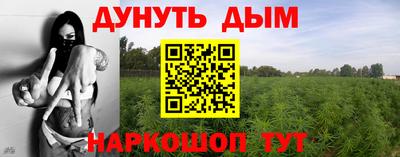 молекула духа Краснодар