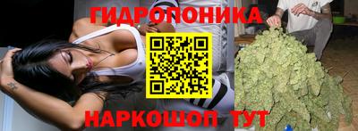 стаф Краснокаменск