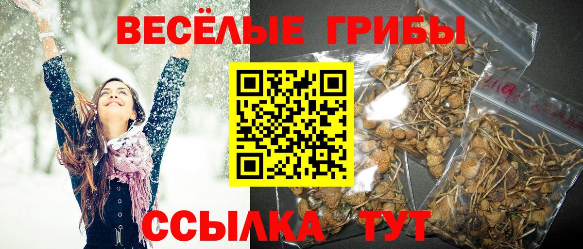 Псилоцибиновые грибы Psilocybe  Вход с VPN  наркошоп  Пермь 