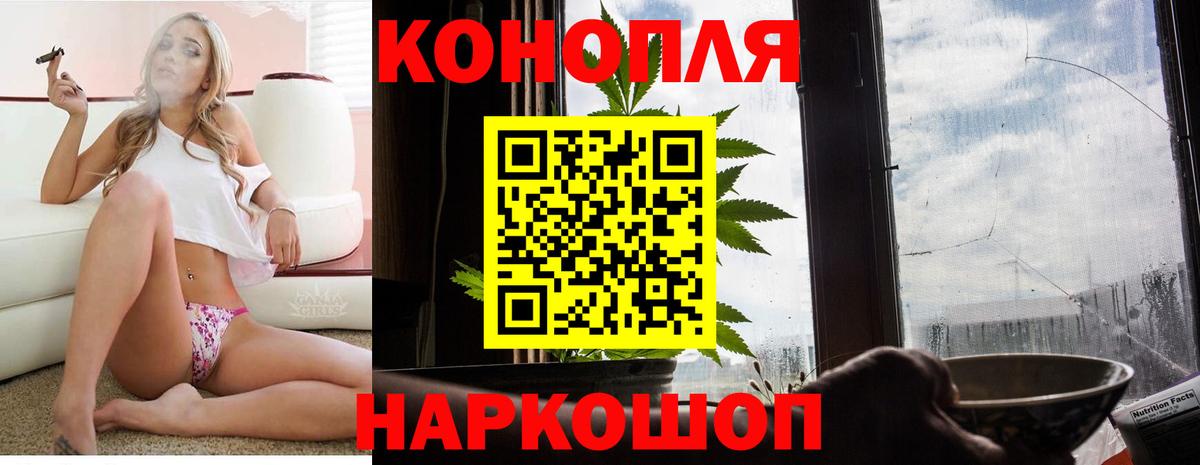 Псилоцибиновые грибы Пермь